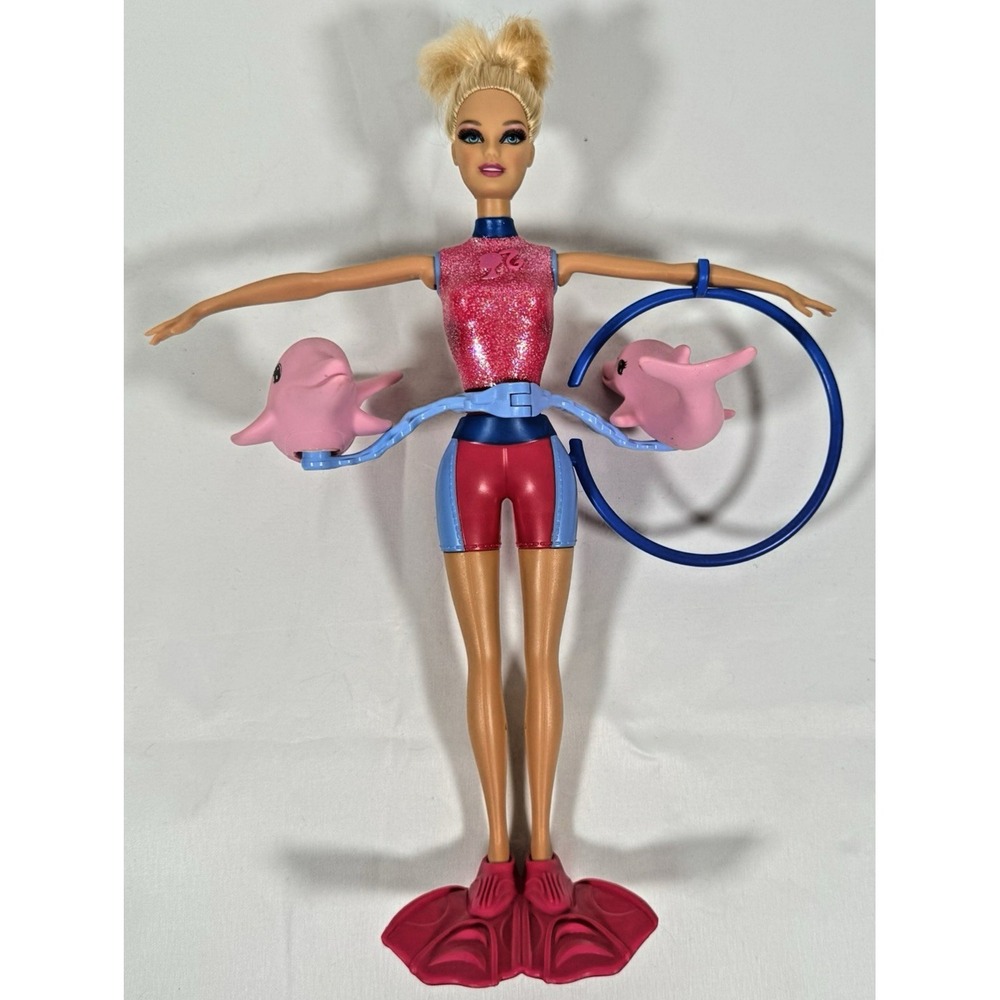 Barbie Dolphin Trainer Doll 12in Pink Blue Wetsuit Wind Up Spinning Dolphins